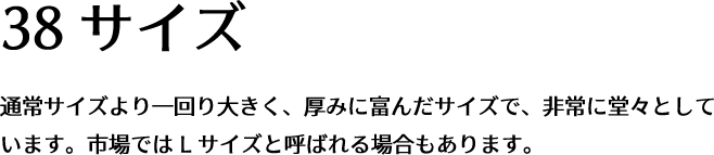 38サイズ