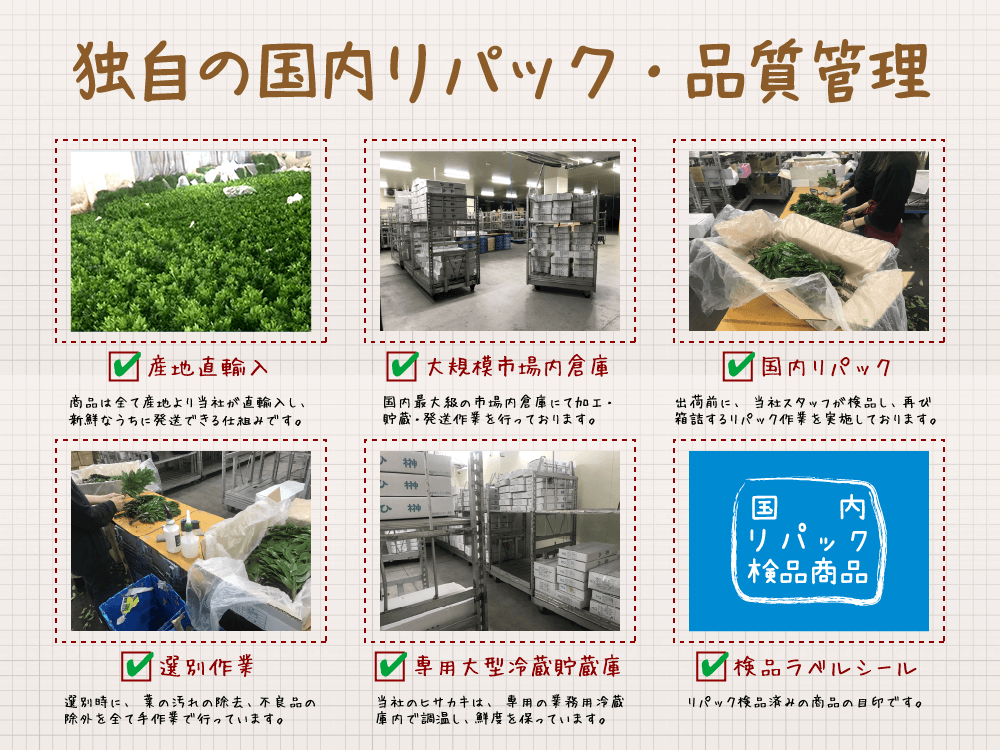 独自の国内リパック・品質管理