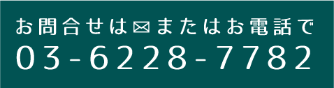 当社のオリジナルヒサカキ　エーアイ・スタジオ